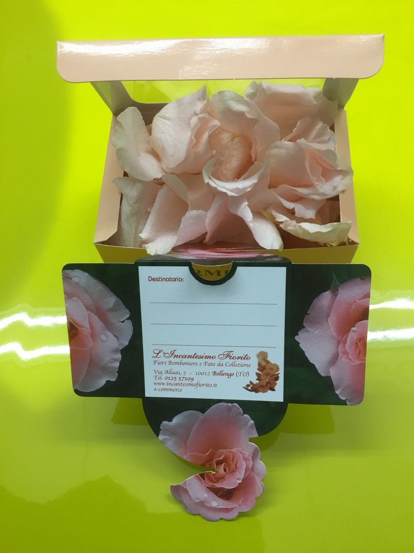 Petali di rose stabilizzate color rosa – Incantesimo fiorito