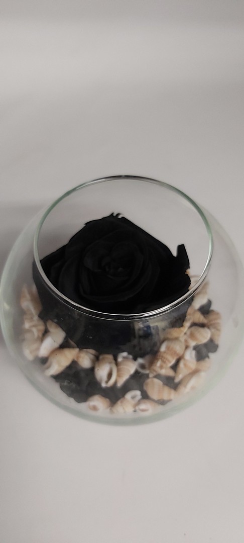 Rosa Nera stabilizzata composizione nel vetro – Incantesimo fiorito