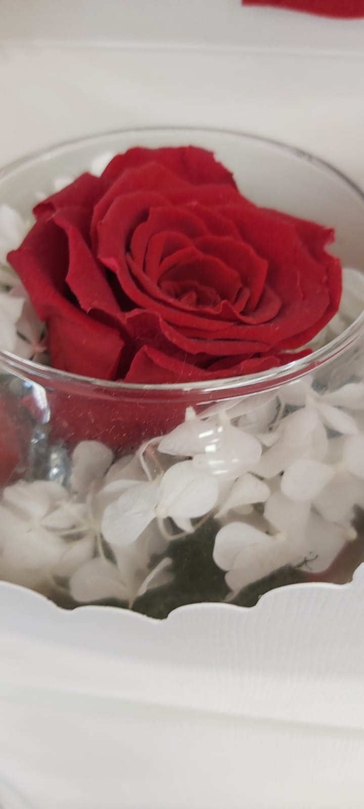 Rosa Stabilizzata in vasetto in vetro – Fiori Di Franca